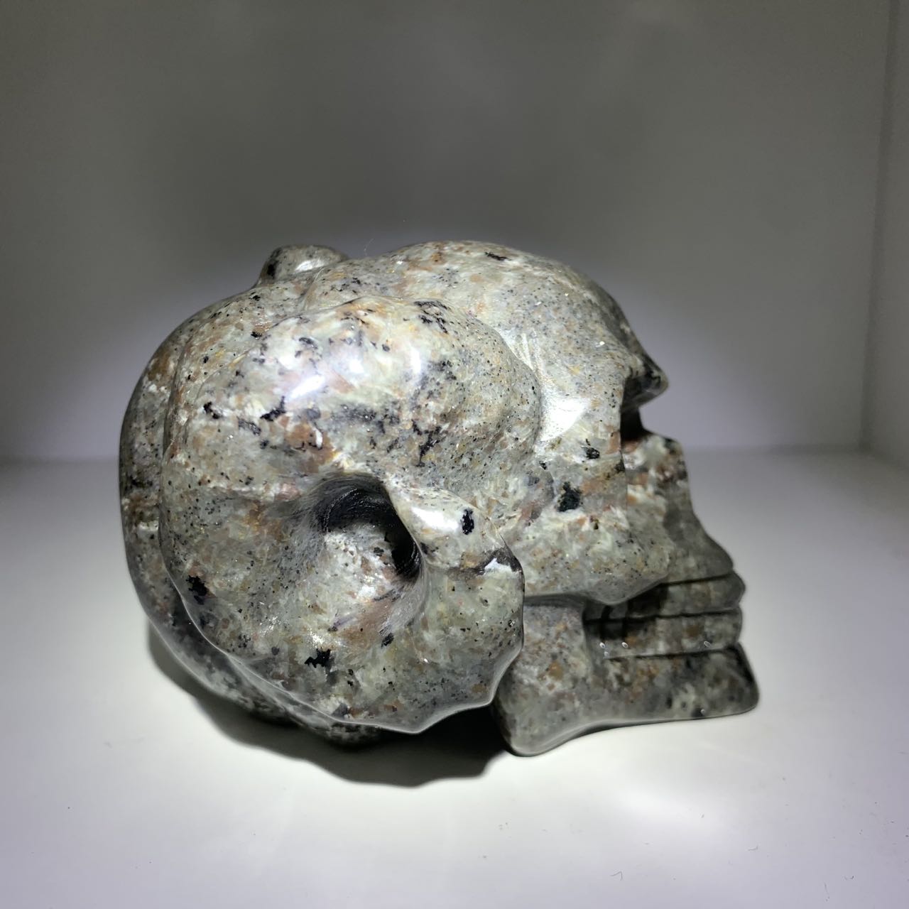 Z4 Horns Skull yooperlite carving