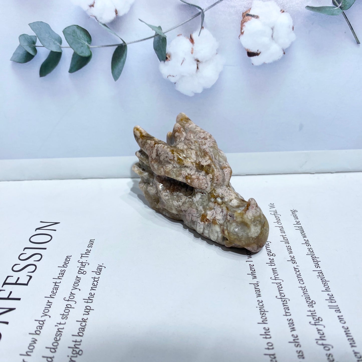 Dragon head Huang Hujing