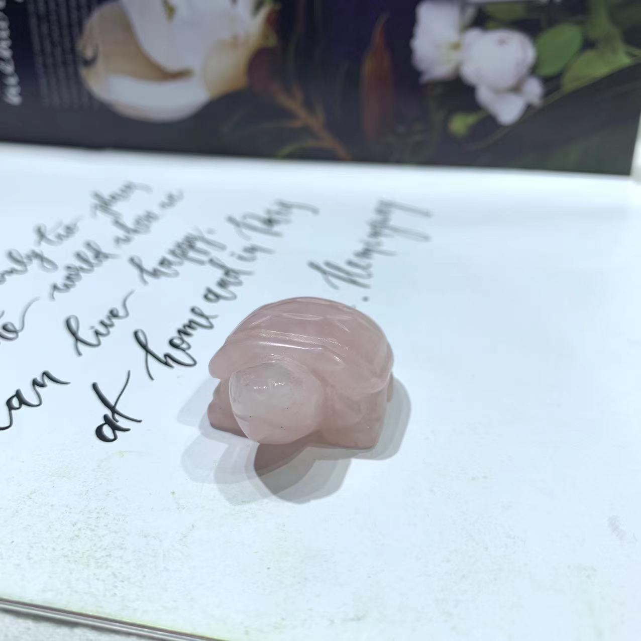 Animal carving turtle different material