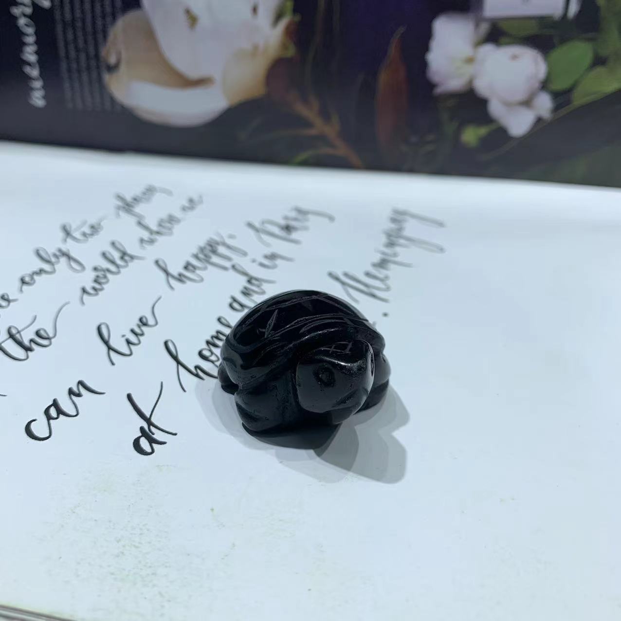 Animal carving turtle different material