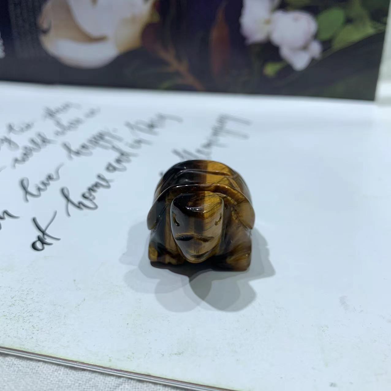 Animal carving turtle different material