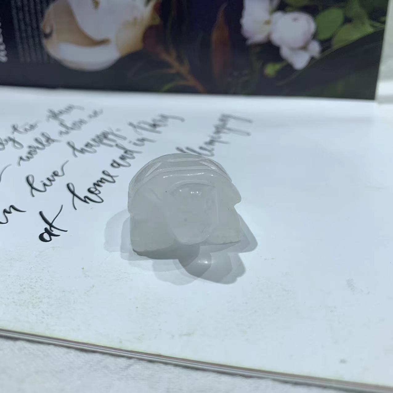 Animal carving turtle different material