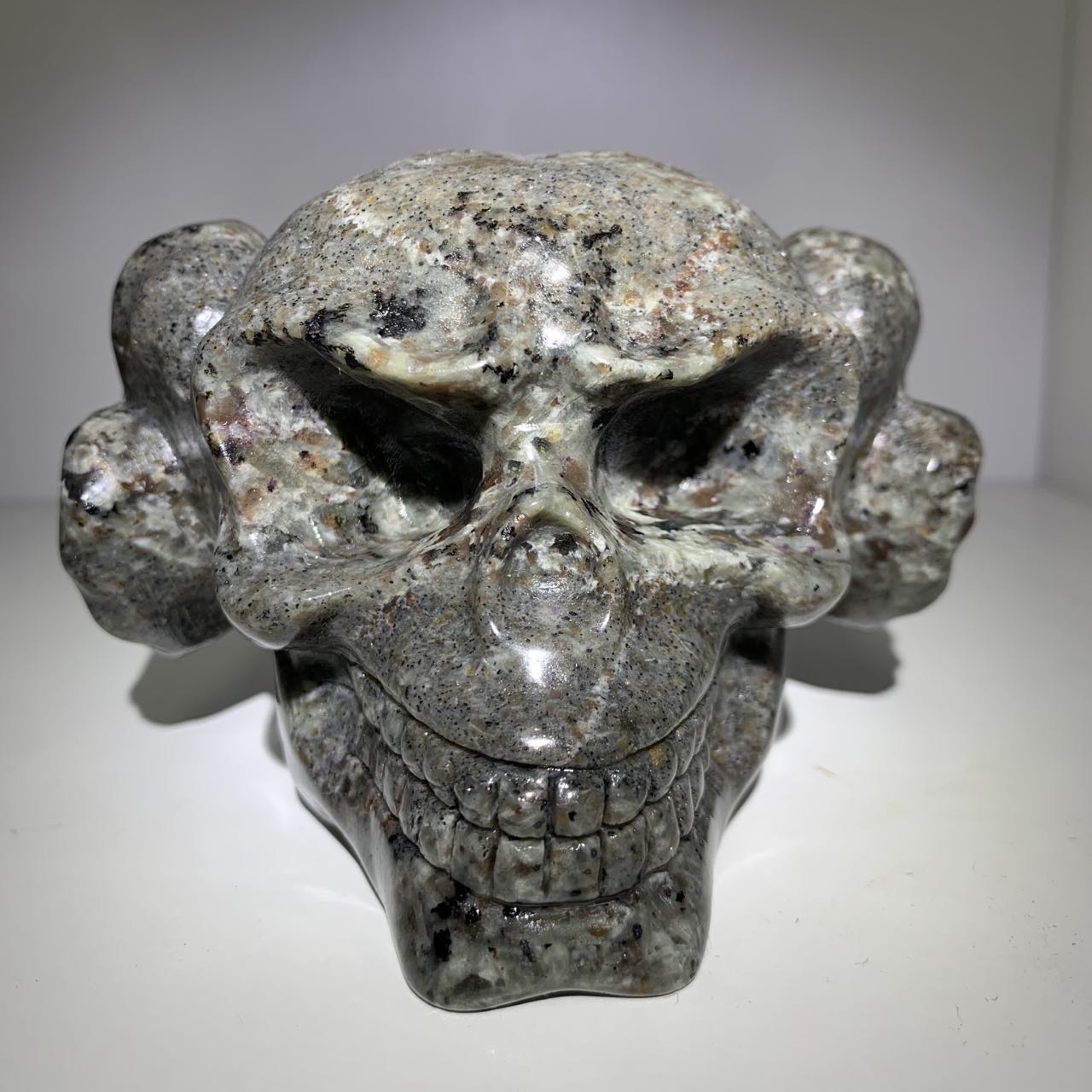 Z4 Horns Skull yooperlite carving