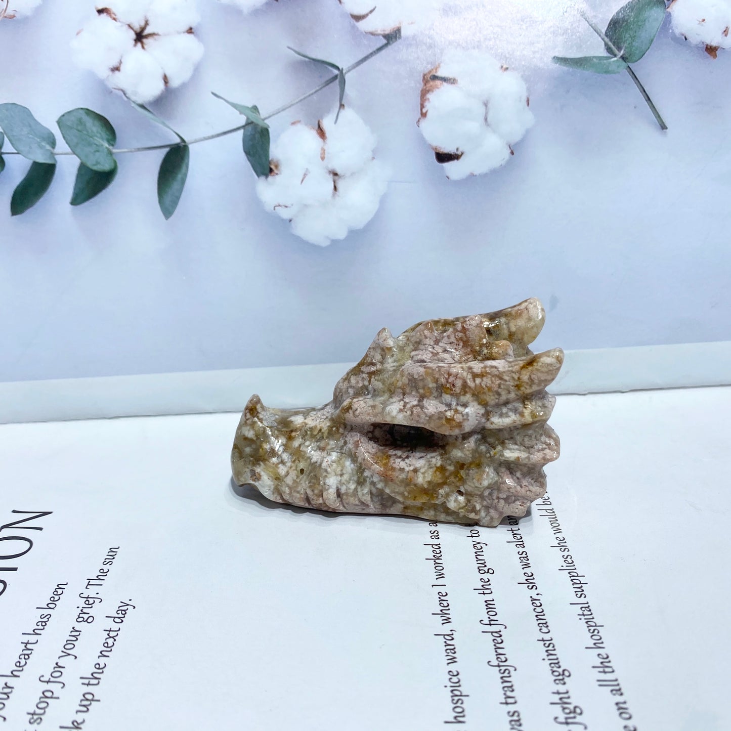 Dragon head Huang Hujing