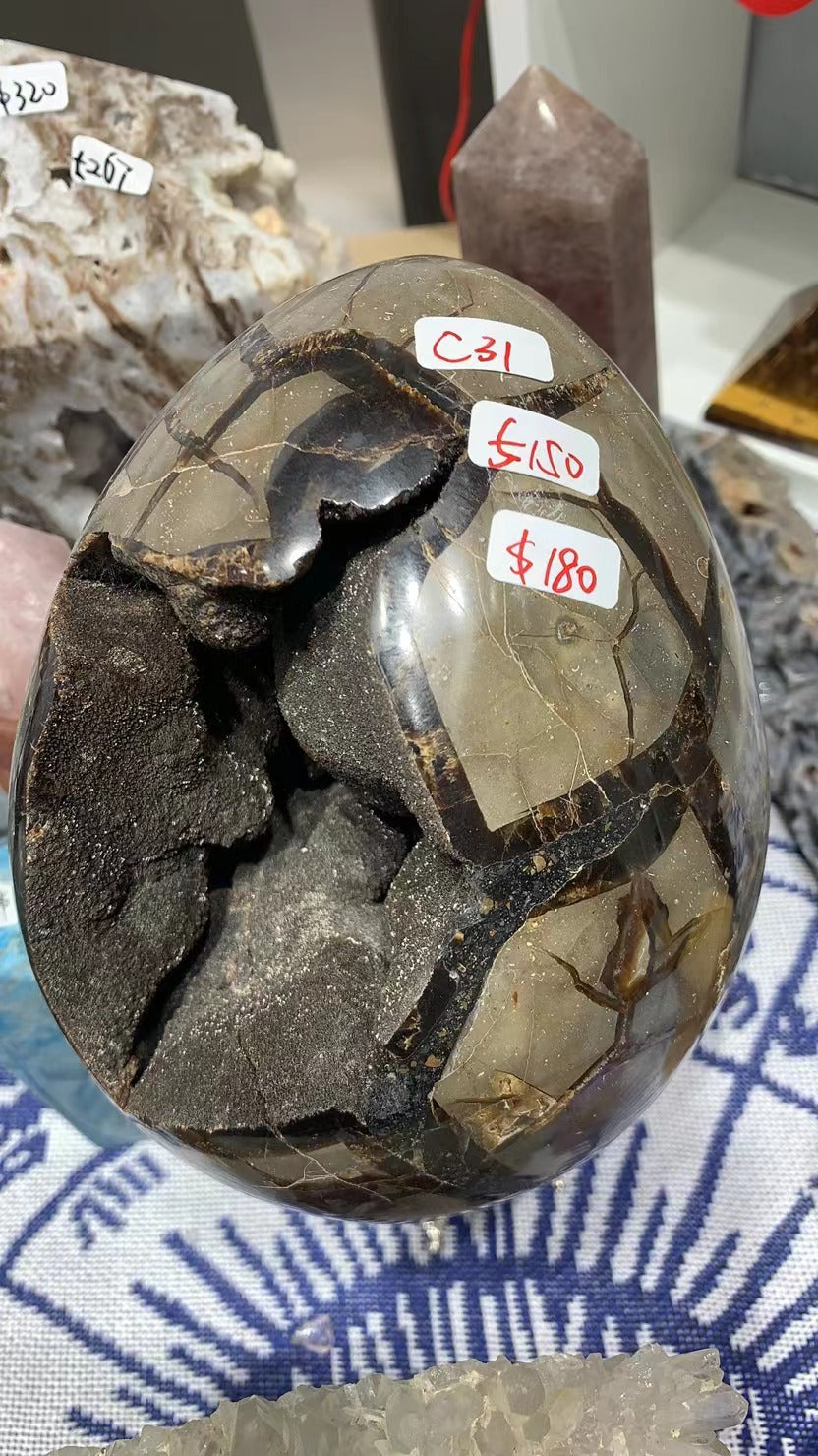 C31 Septarium egg